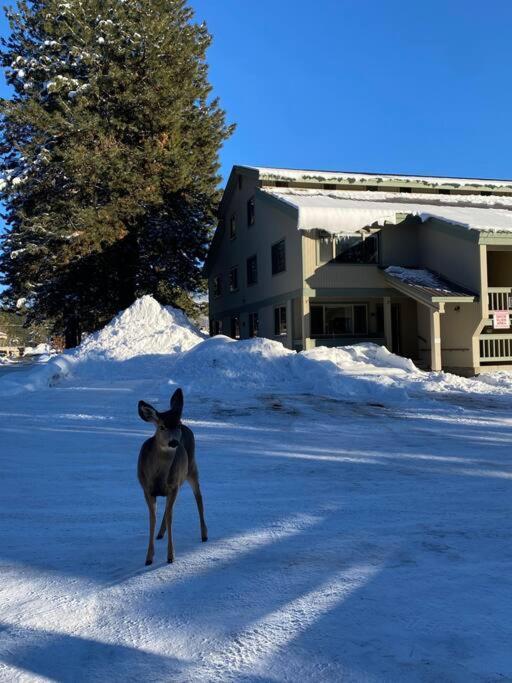 Mccall Mountain Getaway - Pet Friendly Exterior foto